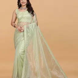 Zeekha Embellished Beads and Stones Net Saree-7