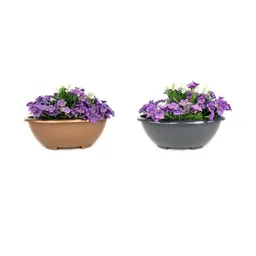 Bonsai Round Pot 13.7 Inch for Indoor & Outdoor Plants-30