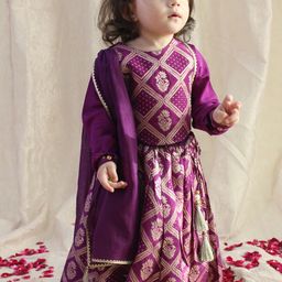 Tiber Taber Regal Girls Woven Design Brocade Ready to Wear Lehenga & Blouse With Dupatta-picture-25
