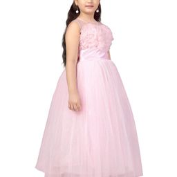 Aarika Net Maxi Dress image 2