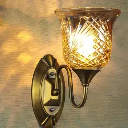 Kapoor E Illuminations Orah Golden Glass Wall Light - Set of 1-image-44