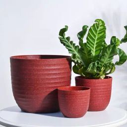 Ugaoo 3-Piece Maroon Verona Eco-Friendly Planter Set-image-8