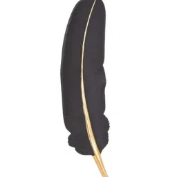 Home4U Black & Golden Resin 10 cm Feather Wall Art - Set of 1-22