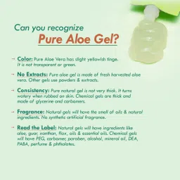 Nat Habit Fresh Pure Aloe Vera Gel - Pack of 2 image 5