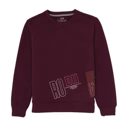 Status Quo Boys Typography Printed Round Neck Cotton Pullover Sweatshirt-picture-8