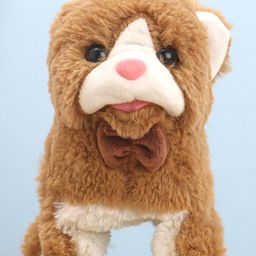 Aarohi Toys Musical Poochie Cat Brown & White  -Length 15 cm-20