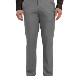 Allen Solly Grey Blended Slim fit Checks Trousers-image-37