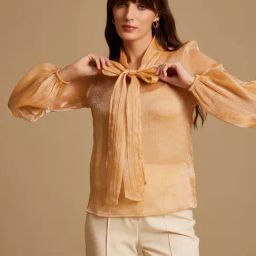 Kazo Gold Organza Regular Fit Top-picture-21