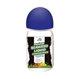 ROOTED 250 ml Clear Premium Seaweed Liquid Concentrate For Plants And Trees-image-15