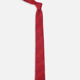 Van Heusen Red Embroidered Tie-picture-23