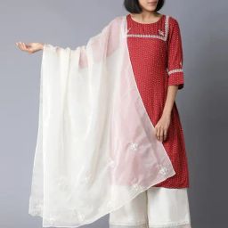 W White Embroidered Dupatta-image-77