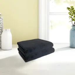 Spaces Solid Grey Cotton Hand Towels - Set of 2-1