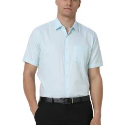 Van Heusen Blue Regular Fit Textured Shirt-image-31