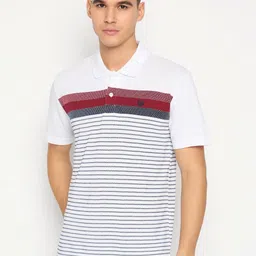 Duke Men Striped Polo Collar Cotton Slim Fit T-shirt-image-28