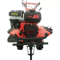 Really 4 Stroke 4 kW Petrol Engine, Rapl-Rh-700g-28