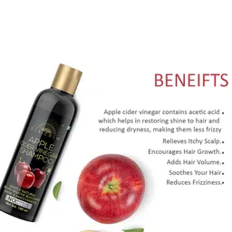 Desi Crew Set Of 4 Shine & Smoothness Apple Cider Vinegar Shampoo - 100 ml Each image 4