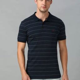 Van Heusen Navy Regular Fit Striped T-Shirt-image-70