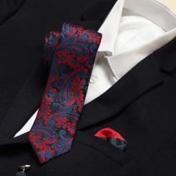Louis Philippe Navy & Red Embroidered Tie with Pocket Square & Cufflinks-30