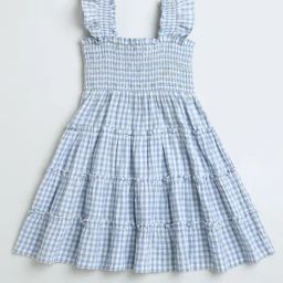 Zip Zap Zoop Girls Blue Regular Fit Chequered Dress-image-46
