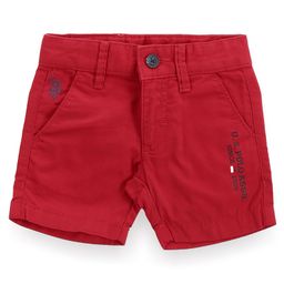 US Polo Assn Cotton Knit Shorts Text Print - Red-image-59