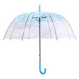 CHAATEWALA Floral Printed Transparent Umbrella - Blue-14