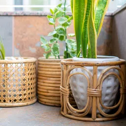 AJAARA Beige Textured Classic Planter Pot-29