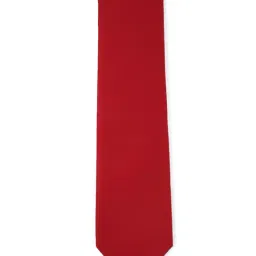 Van Heusen Red Tie-image-82