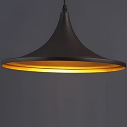 KINIS Modern and Unique Style Black Aluminium Quirky Ceiling Lamp-8