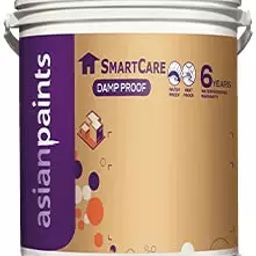 Asian Paints 4 L White Smartcare Damp Proof, 1048-image-9