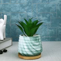 Myntra Elegant Homes White 1 Pieces Artificial Plant With Pot-14