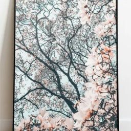 Indian Classic Art Multicolor Canvas Abstract Wall Art-image-1