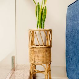 AJAARA Beige Textured Cane Planter Stand-picture-21