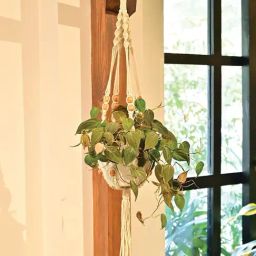 Ugaoo White Small Cotton Macrame Single Layer Hanger-image-18
