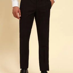 Cantabil Wine Regular Fit Checked Formal Trousers-image-96