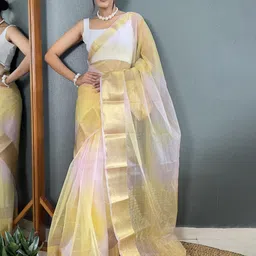 DIVASTRI Ombre Zari Organza Kanjeevaram Saree-image-84