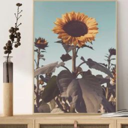 Indian Classic Art Multicolor Canvas Abstract Wall Art-image-54