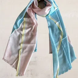 Dupatta Bazaar Women Liva Colourblocked Stole-19