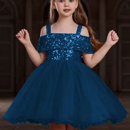 DP FABRICS Embellished Net Fit & Flare Dress-picture-52