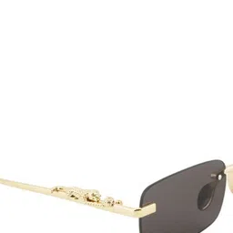 BAYBERRY UV Protected Sunglasses for Men image 4