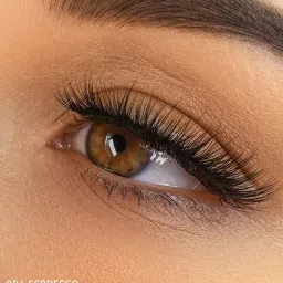 MOIRA Define & Sculpt Brow Pomade 006 Deep Espresso - 5 gm image 5