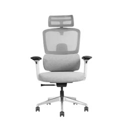 Rose Canary 51D x 51W x 121H cm Premium High Back Mesh Ergonomic Home Desk Chair with 4D Adjustable Armrests, Grey-46
