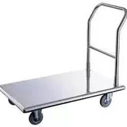 SWS Mirror Polished 500 Kg SS 304 Platform Trolley-0