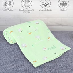 Mi Arcus  Coby Blanket- Light Green-image-40