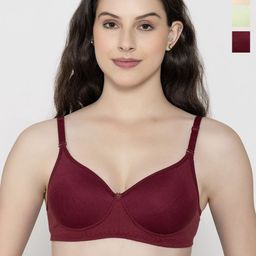Narsingha Dreams Pack Of 3 Cotton Full Coverage Lightly Padded Everyday Bra-picture-19
