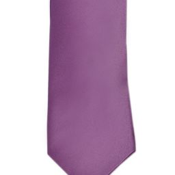 Alvaro Castagnino Purple Tie-image-94