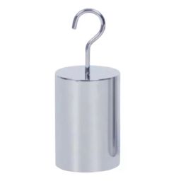Insize M1 Class Stainless Steel 500 g Single Hook Weight 0.1 g Resolution, 8914-500GM1-image-2