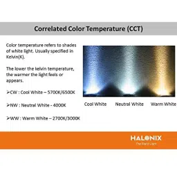 Halonix Ace LED Recessed Down Lighter Polycarbonate 12 W, Cool White (Pack of 2 Pcs) image 2