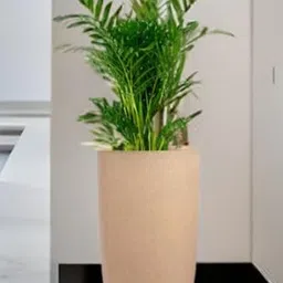 go hooked 18 Inch Tower Pots with Saucer Tray Planter image 4