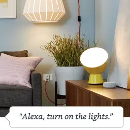 Amazon Smart Plug (works with Alexa) - 6A, Easy Set-Up (White) image 3