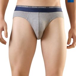 Park Avenue Men Pack Of 2 Mid-Rise Basic Briefs PZRX00280-X4-picture-6